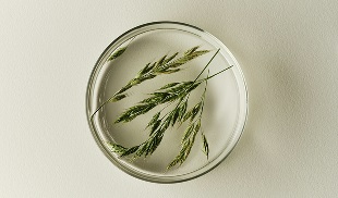 Image 310x182_3